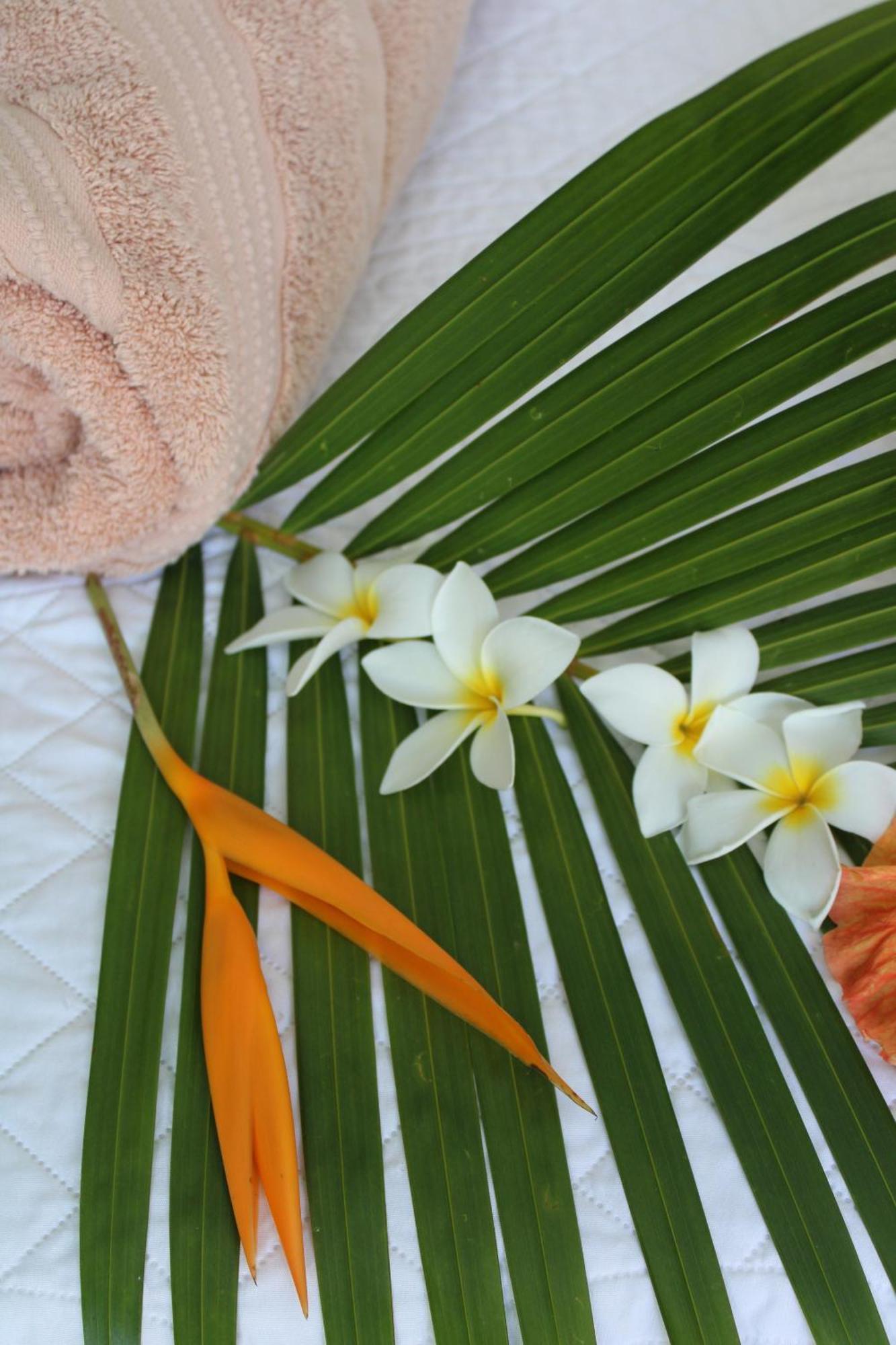 Eden Paradise Ecolodge & Spa Сент-Люс Номер фото